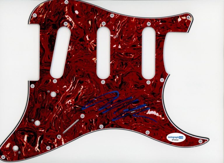 ALLEN STONE SIGNED AUTOGRAPH STRAT GUITAR PICKGUARD ACOA ELECTRIC