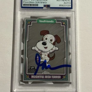 Gary Vaynerchuk SIGNED 2025 Topps Chrome VeeFriends Insightful Irish Terrier PSA