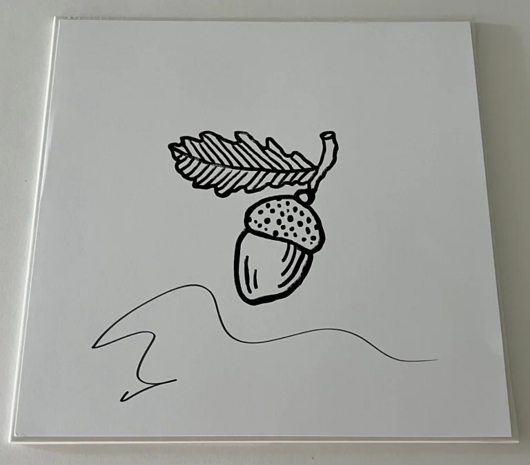 ED SHEERAN SIGNED AUTOGRAPH AUTUMN VARIATIONS VINYL RECORD ALBUM & BECKETT COA
