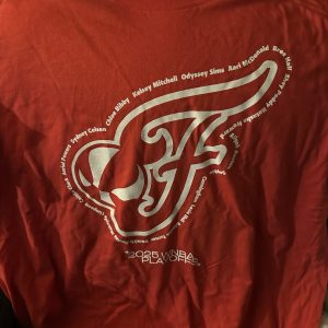 Indiana Fever Playoffs Adult 4XL Size T-Shirt 2025 WNBA Playoffs Caitlin Clark