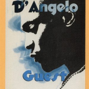 D'Angelo 1996 Brown Sugar Concert Tour GUEST Backstage Pass