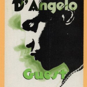 D'Angelo 1996 Brown Sugar Concert Tour GUEST Backstage Pass