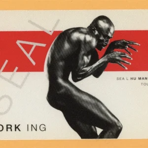 Seal 1999 Human Being Concert Tour WORKING Backstage Pass