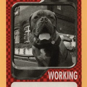 Seal 2003 IV Concert Tour WORKING Backstage Pass