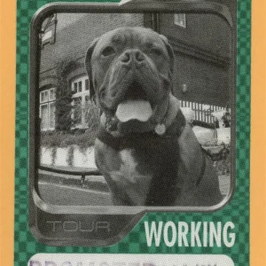 Seal 2004 IV Concert Tour WORKING Backstage Pass