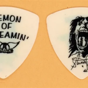 Aerosmith Steven Tyler Demon of Screamin' Vintage Guitar Pick - 1989 Pump Tour