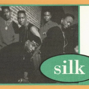 Silk 1995 Concert Tour Backstage Pass