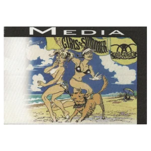 Aerosmith 2002 Girls of Summer Concert Tour Media Backstage Pass