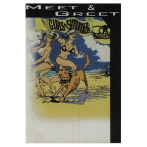 Aerosmith 2002 Girls of Summer Concert Tour Meet & Greet Backstage Pass