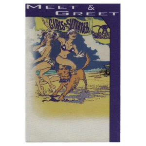 Aerosmith 2002 Girls of Summer Concert Tour Meet & Greet Backstage Pass