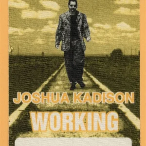 Joshua Kadison 1995 Concert Tour WORKING Backstage Pass