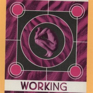 The Cranberries 1999 Bury the Hatchet Concert Tour WORKING Backstage Pass