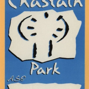 Chastain Park 2003 Concert Tour ASO Backstage Pass
