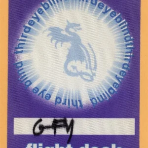 Third Eye Blind 2000 Blue Concert Tour Flight Deck Backstage Pass