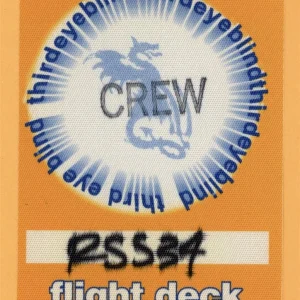 Third Eye Blind 2000 Blue Concert Tour Flight Deck Backstage Pass