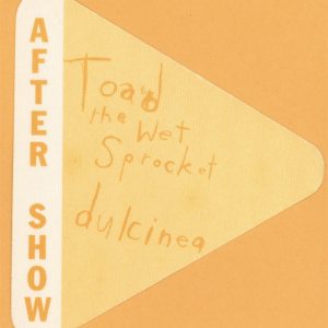 Toad The Wet Sprocket 1994 Dulcinea Concert Tour AFTER SHOW Backstage Pass