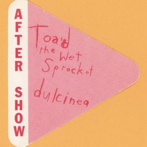 Toad The Wet Sprocket 1994 Dulcinea Concert Tour AFTER SHOW Backstage Pass