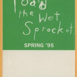 Toad The Wet Sprocket 1995 Dulcinea Concert Tour WORKING Backstage Pass
