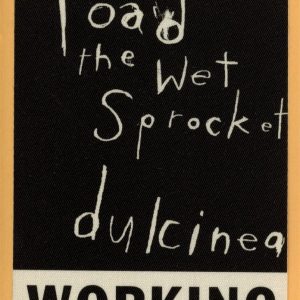 Toad The Wet Sprocket 1994 Dulcinea Concert Tour WORKING Backstage Pass