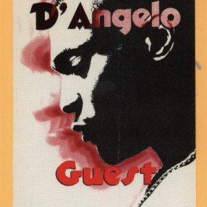D'Angelo 1996 Brown Sugar Concert Tour GUEST Backstage Pass