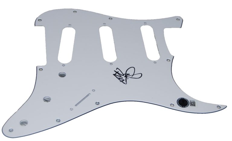 BUD GAUGH signed (SUBLIME) electric pick guard BECKETT BV13300