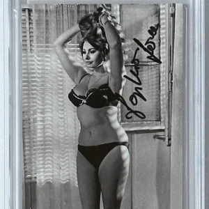 SOPHIA LOREN AUTOGRAPHED PSA DNA COA SIGNED SUPERMODEL PHOTOGRAPH SEXY LINGERIE