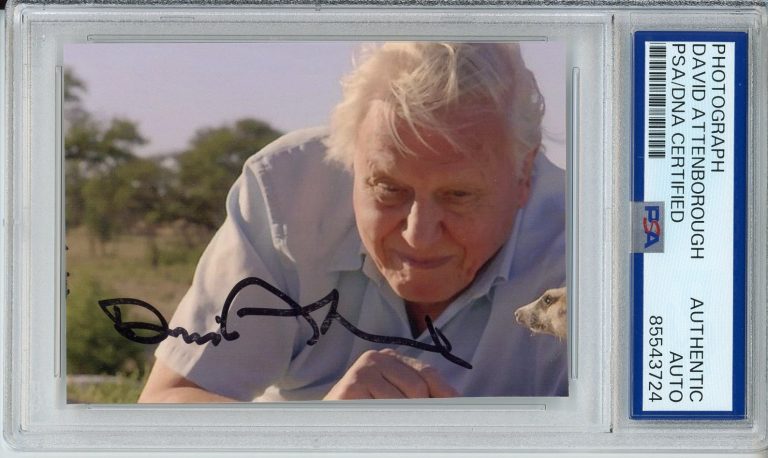 DAVID ATTENBOROUGH SIGNED AUTOGRAPH PLANET EARTH ANIMALS PHOTOGRAPH PSA DNA COA