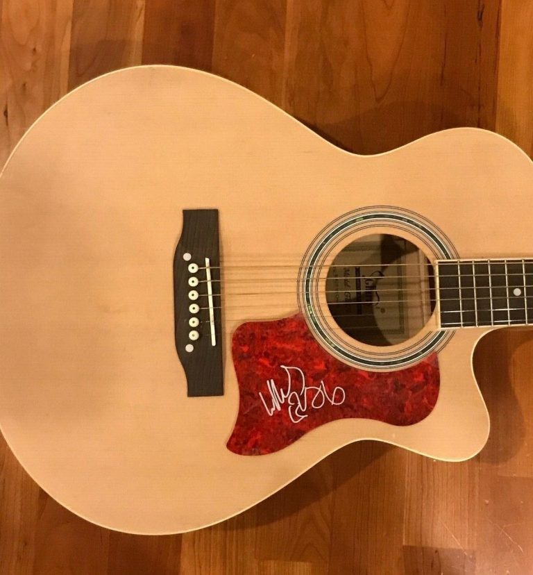 * MAX COLLINS * signed autographed acoustic guitar * EVE 6 BAND * 1