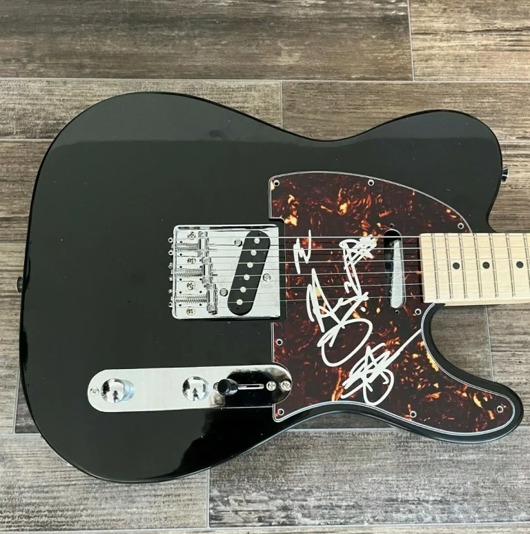 * THREE DAYS GRACE * signed electric guitar * WALST, STOCK & SANDERSON * 3