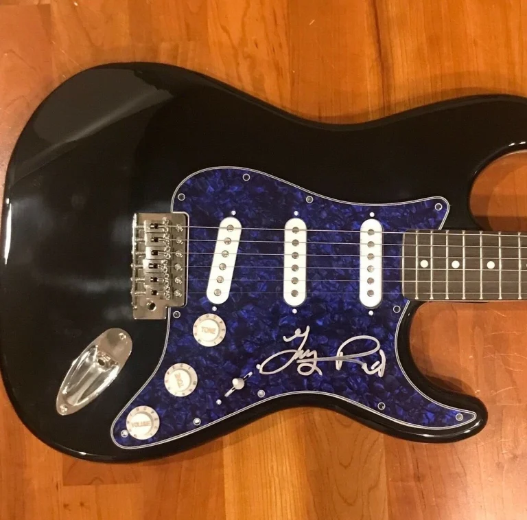 * TERRY REID * signed electric guitar * ROGUE WAVES * LED ZEPPELIN * PROOF * 1