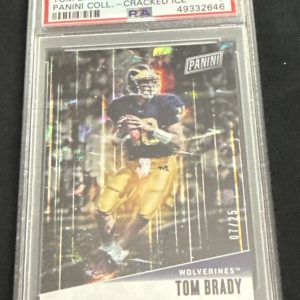 2019 Father's Day Panini Collection #TB Tom Brady CRACKED ICE 7/25 PSA 9 SSP