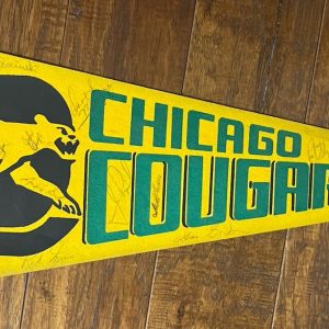 1974/75 Chicago Cougars WHA NHL Team Signed Autographed x 22 30" Pennant