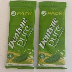Dentyne Pure Mint w/Melon Accents Sugar Free Gum 6 Packs 9 Pieces Each