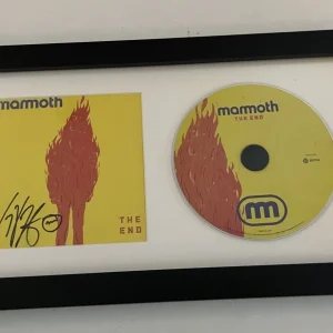 Wolfgang Van Halen The aEnd Signed Autographed Framed CD Display BAS Certified