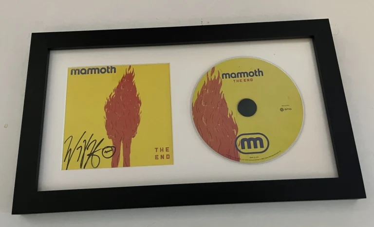 Wolfgang Van Halen The aEnd Signed Autographed Framed CD Display BAS Certified