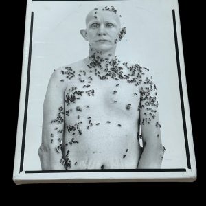 Richard Avedon Famous Photographer Portraits Signed Autograph 1st Edition Book