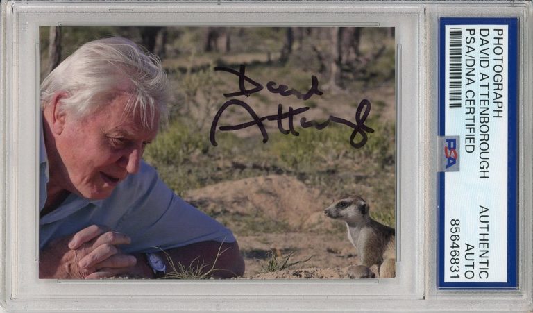 DAVID ATTENBOROUGH SIGNED PHOTOGRAPH AUTOGRAPH PSA DNA COA Life On Earth BBC