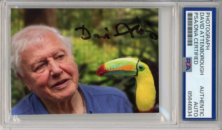 DAVID ATTENBOROUGH SIGNED PHOTOGRAPH AUTOGRAPHED PSA DNA COA Life On Earth BBC