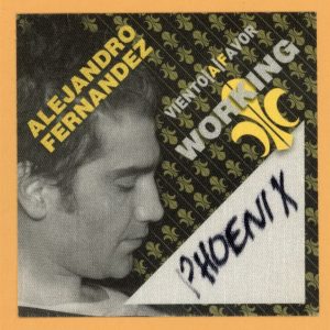 Alejandro Fernandez 2008 Vento A Favor Tour Concert WORKING Backstage Pass