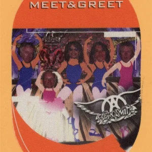 Aerosmith 2001 Just Push Play Concert Tour Meet & Greet Backstage Pass
