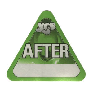 Yes 2001 Magnification Concert Tour Aftershow Backstage Pass