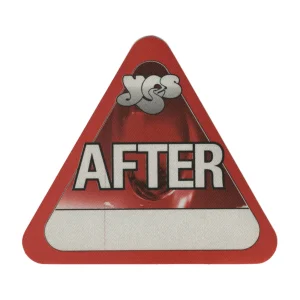 Yes 2001 Magnification Concert Tour Aftershow Backstage Pass