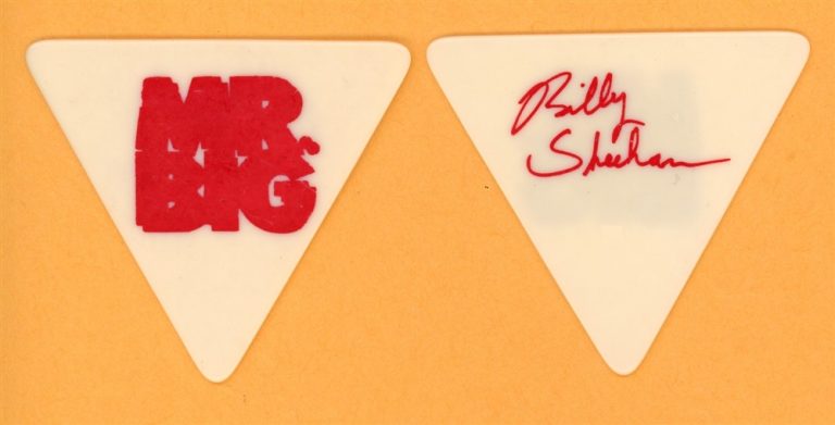 Mr. Big Billy Sheehan Vintage Guitar Pick - 1991 Lean Into It Tour