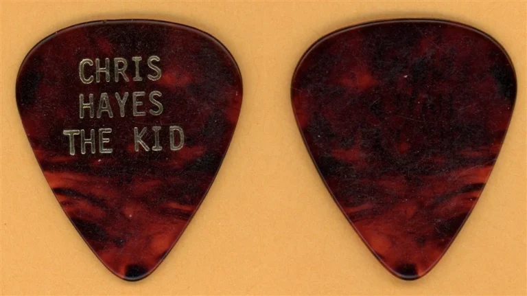 Huey Lewis & The News Chris Hayes Vintage Guitar Pick - 1991 Hard At Play Tour