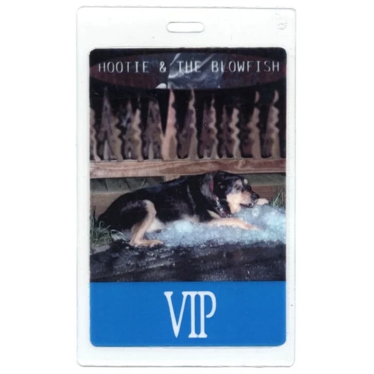Hootie And The Blowfish 1998 Concert Tour Laminated Backstage Pass