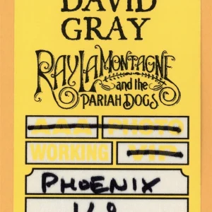 David Gray 2009 Draw the Line Concert Tour Backstage Pass