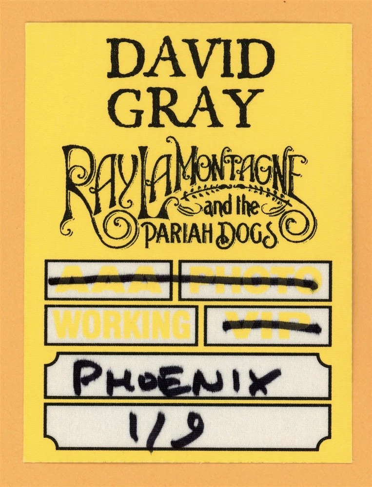 David Gray 2009 Draw the Line Concert Tour Backstage Pass
