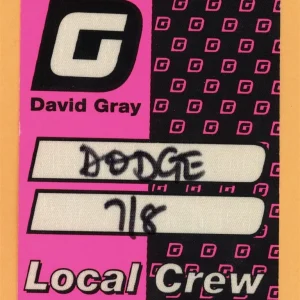David Gray 2009 Draw the Line Concert Tour CREW Backstage Pass