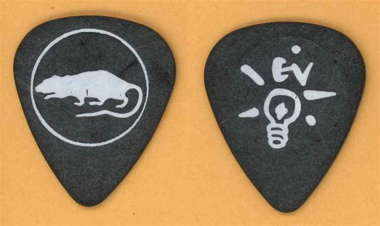 Pearl Jam Eddie Vedder Vintage Guitar Pick - 1993 VS Tour