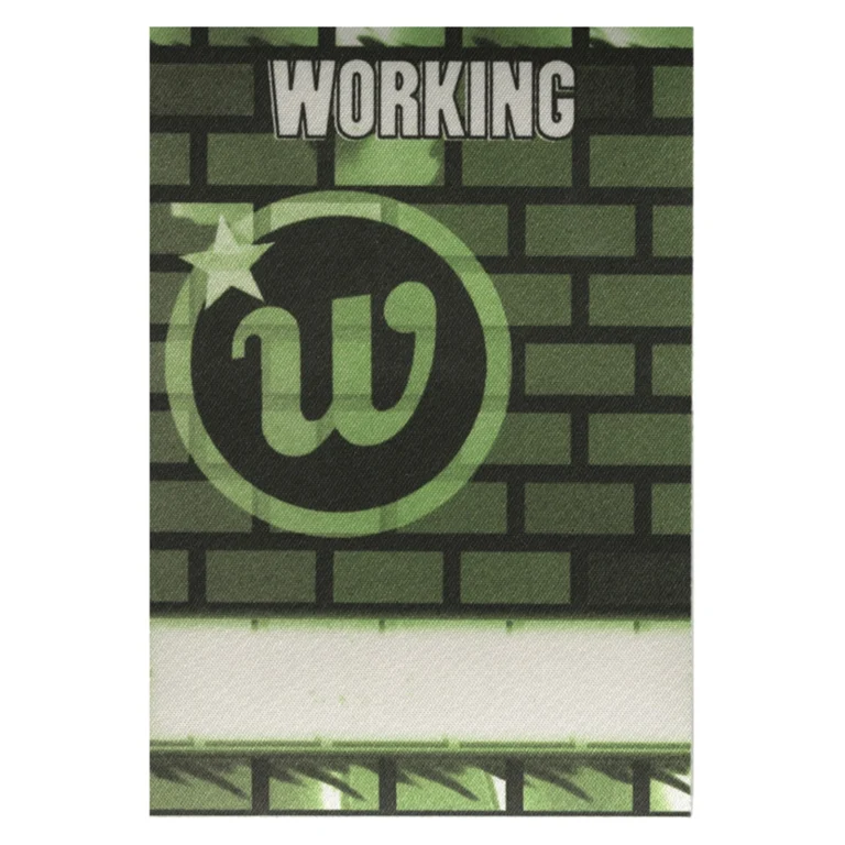 The Wallflowers 1996 Bringing Down the Horse Concert Tour Working Backstage Pass